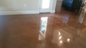 stain and polished concrete