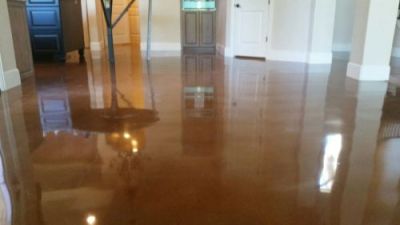 stain and polished floor